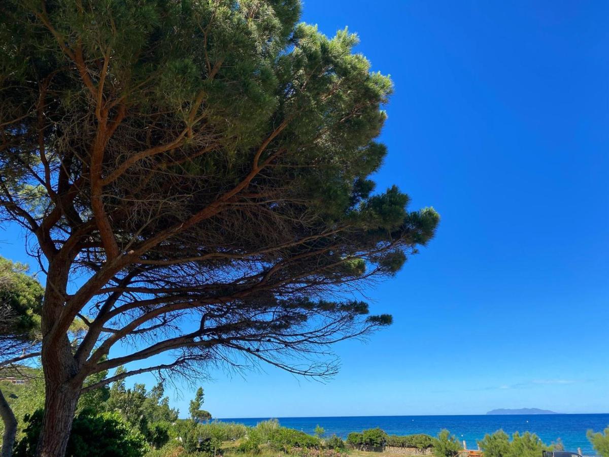 Appartamento Domaine U Pozzu Sisco Esterno foto