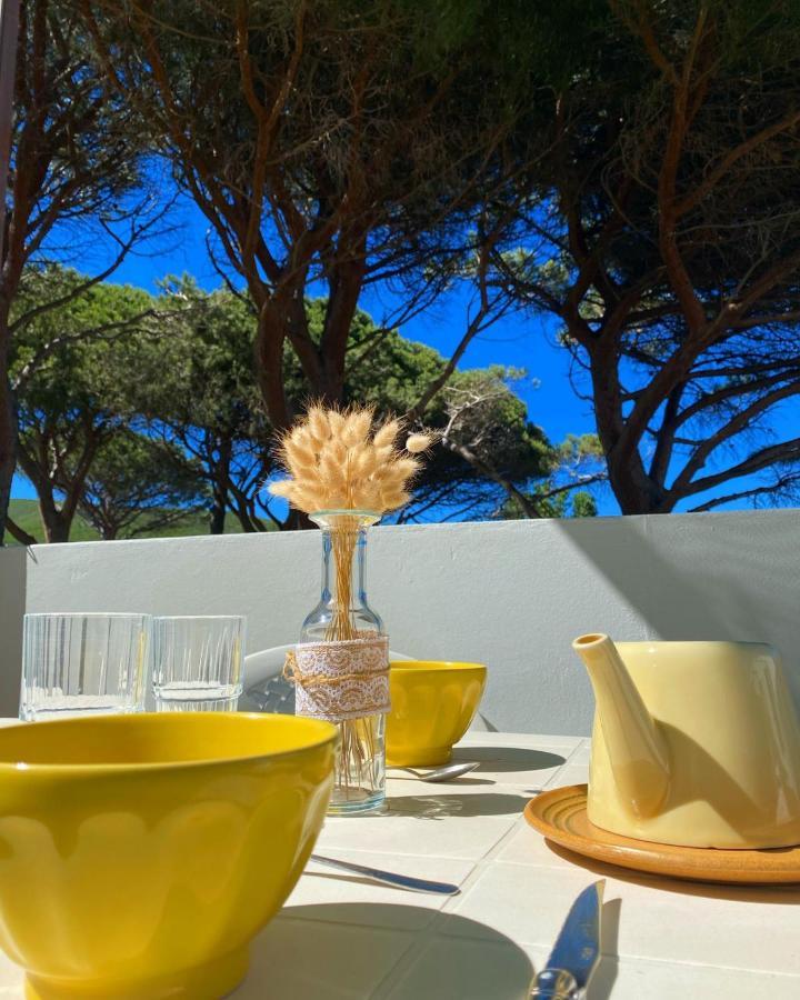 Appartamento Domaine U Pozzu Sisco Esterno foto