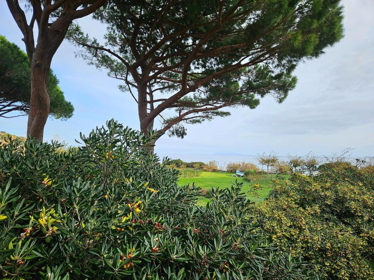 Appartamento Domaine U Pozzu Sisco Esterno foto